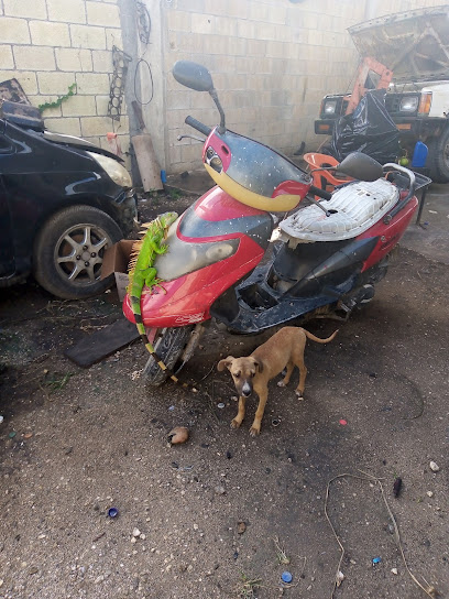 Dirección, horario, teléfono y opiniones de Taller Mecánico y Llantera Poot Servicio Carretera en Champotón