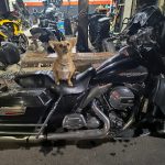 Dirección, horario, teléfono y opiniones de Dogtor Moto en Tlalpan