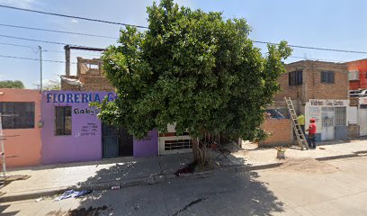 Dirección, horario, teléfono y opiniones de Moto Servicio en Durango