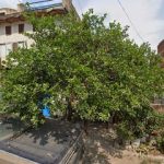 Dirección, horario, teléfono y opiniones de Taller de Motos Bully Bikers en Tonalá