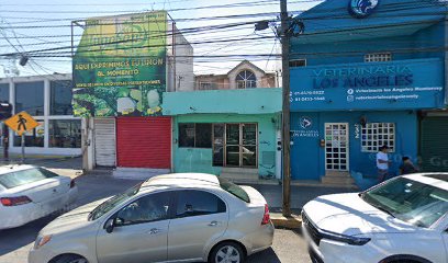 Dirección, horario, teléfono y opiniones de Only Moto en San Nicolás de los Garza
