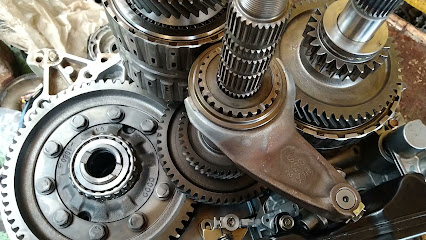 Dirección, horario, teléfono y opiniones de Taller Patas Verdes en Cd. Valles