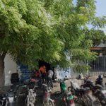 Dirección, horario, teléfono y opiniones de Motoservicio Mata en Veracruz